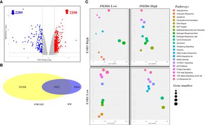 JMJD6 orchestrates a transcriptional program in favor of endocrine resistance in ER+ breast cancer cells